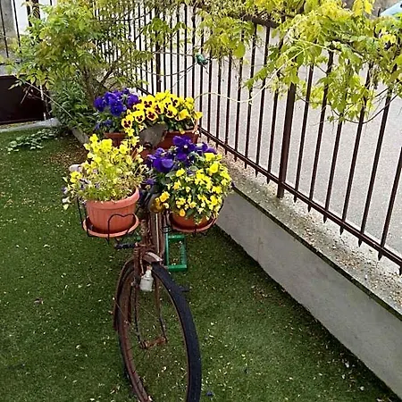Ca Dal Busc Bed & Breakfast